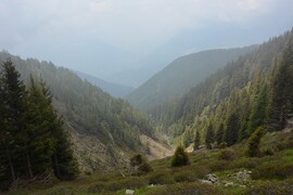 Almenweg