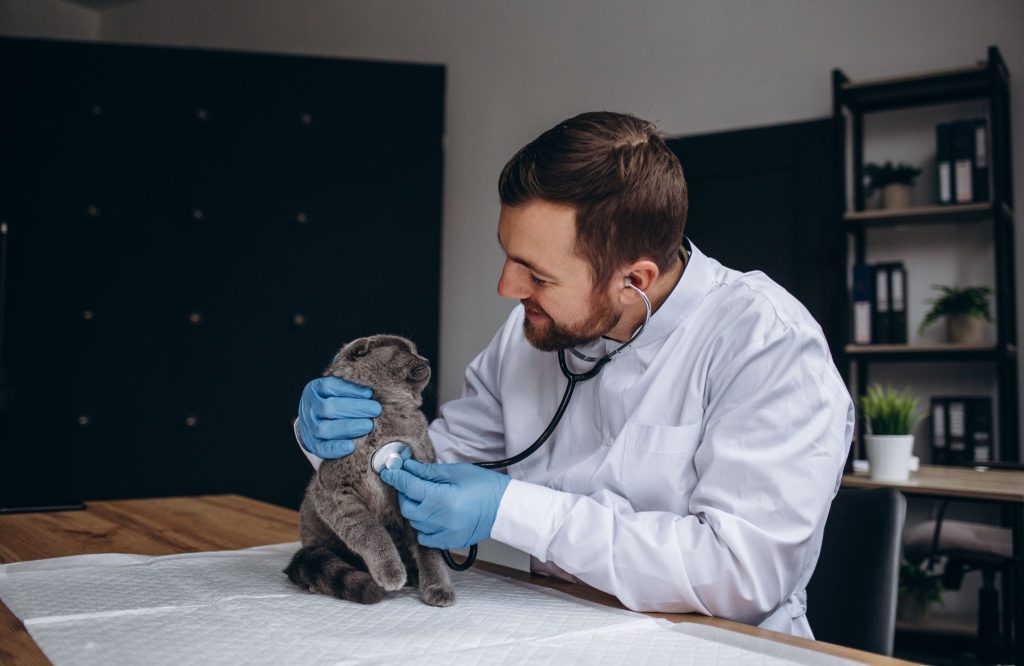 Why is regular vet check-up essential for pets?